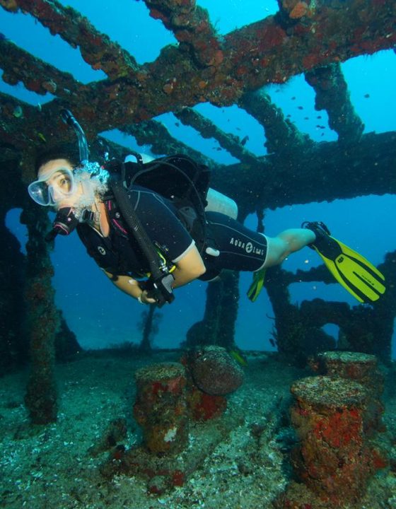 89e6aa01-d486-48bb-9d1b-31ee22c56183