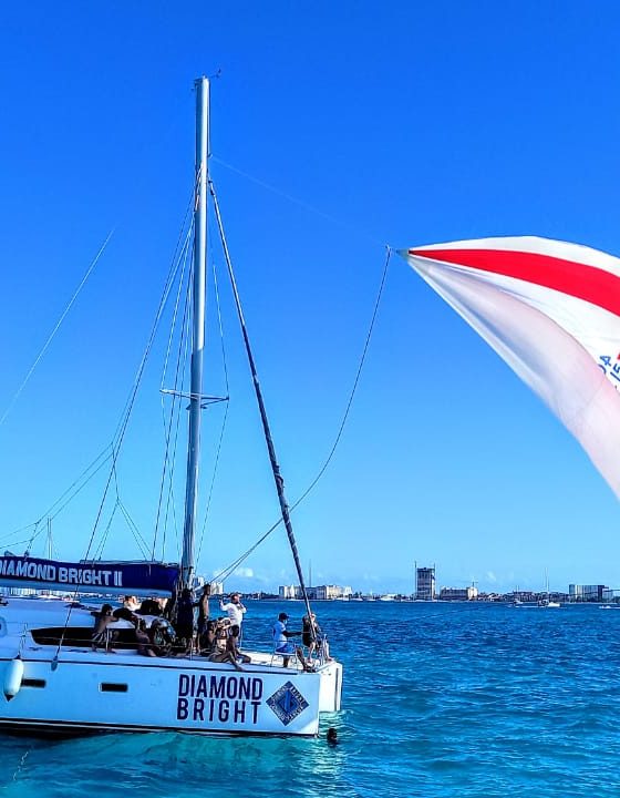 e39f88fc-cea0-46bc-a2a6-f4b60817c55f